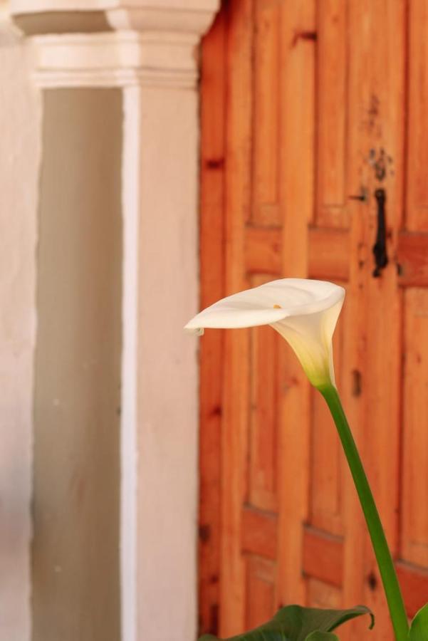 Fandango Pansiyon San Cristóbal de Las Casas Dış mekan fotoğraf