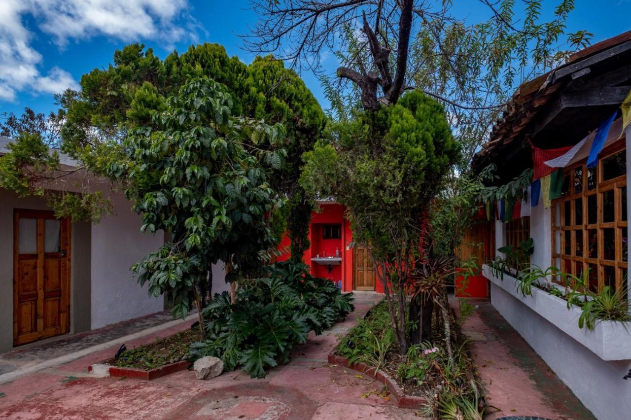Fandango Pansiyon San Cristóbal de Las Casas Dış mekan fotoğraf
